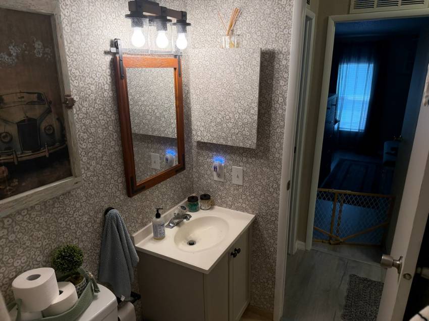 1203 Buena Vista Dr. a North Fort Myers, FL Mobile or Manufactured Home for Sale
